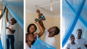 Quelles sont les précautions nécessaires à prendre pour utiliser et conserver la MII ?